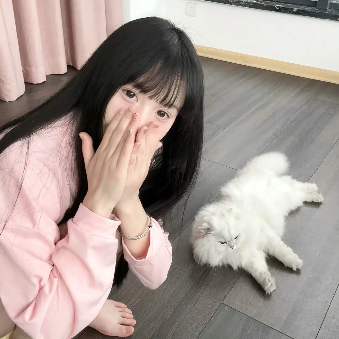 解决师粤语
